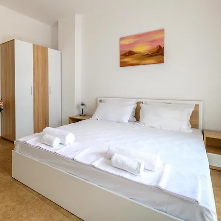 Robinson 埃勒尼特