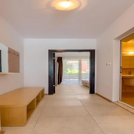 Robinson 埃勒尼特